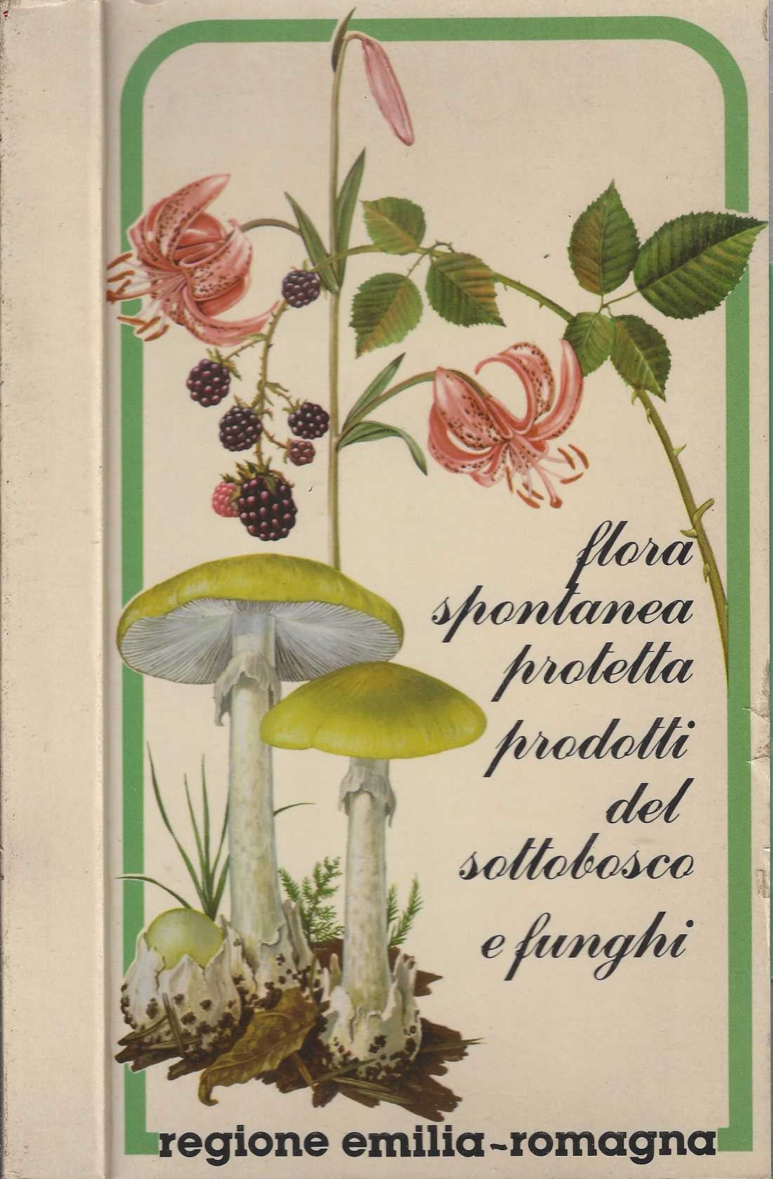 Flora spontanea protetta prodotti dal sottobosco funghi