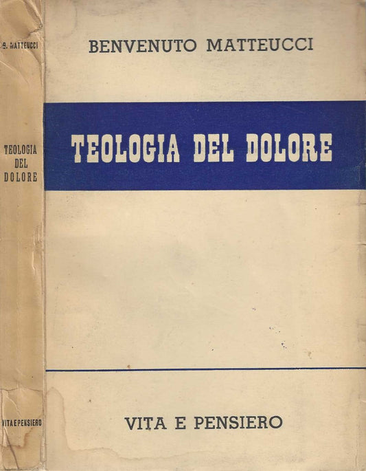 Teologia del dolore di Benvenuto Matteucci