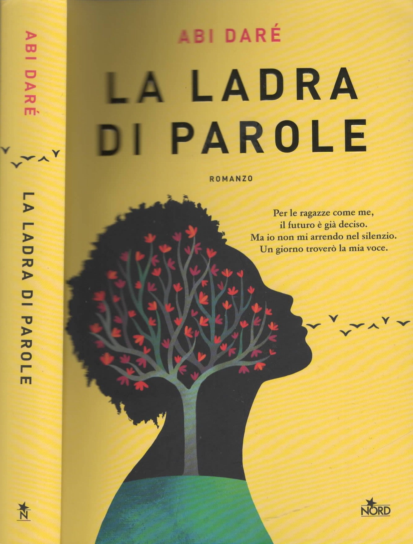 La ladra di parole di Abi Darè