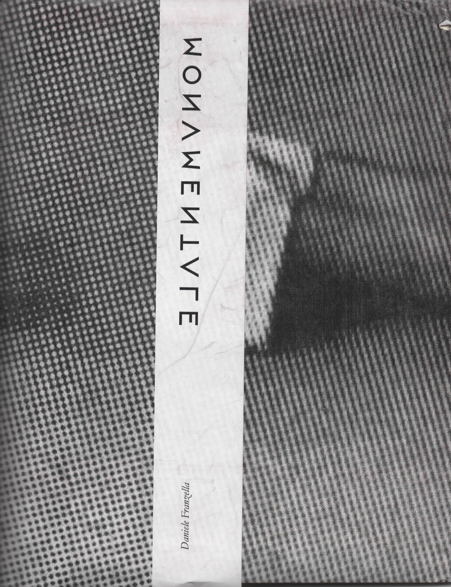 Monumentale di Daniele Franzella