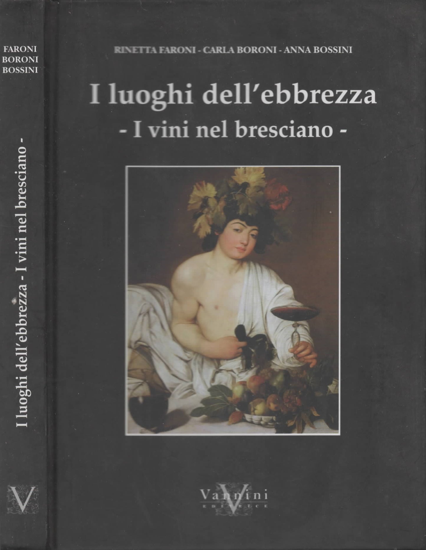 I luoghi dell'ebbrezza - I vini nel bresciano