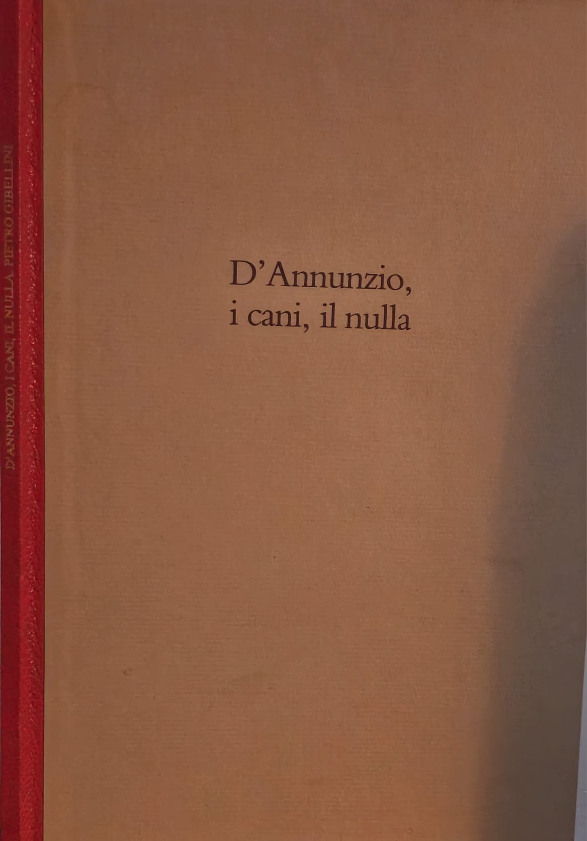 D'Annunzio, i cani, il nulla - Luciano Cottini