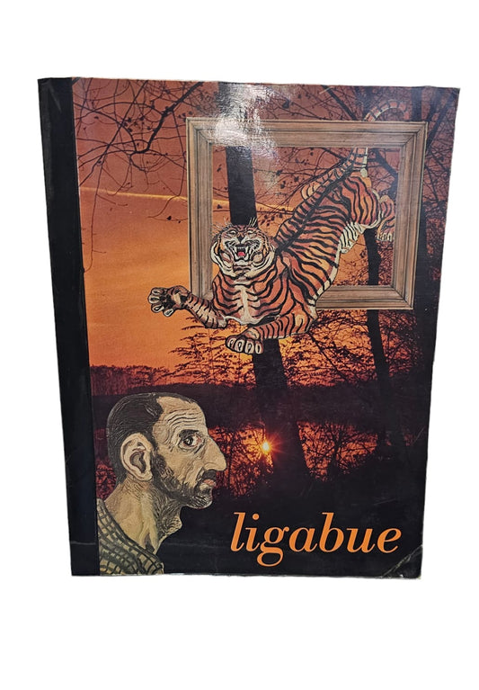 Ligabue Numero Unico * - IOLIBROCARMINE