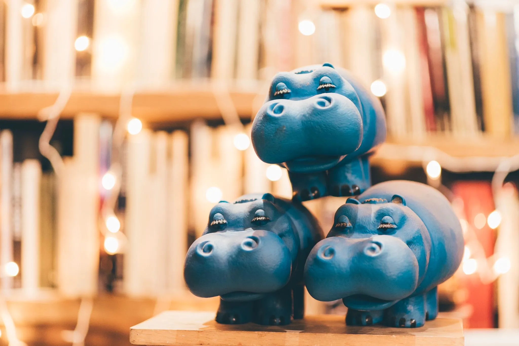 IoLibroCarmine è una libreria storica con oltre 30 anni di esperienza, specializzata in libri rari, valutazioni professionali e acquisti su appuntamento, nel cuore di Brescia.