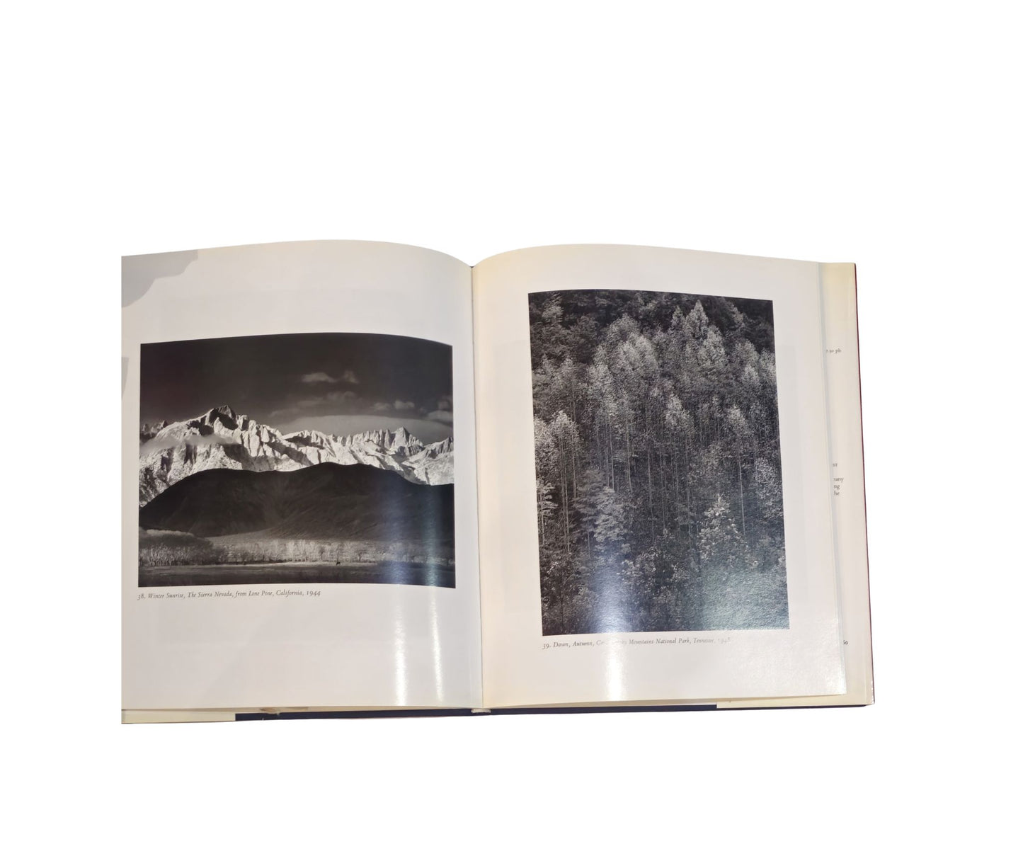 Ansel Adams: classic images