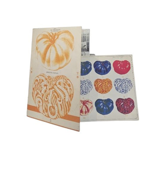 Catalogo galleria De Foscherari - Concetto Pozzati + litografia - IOLIBROCARMINE