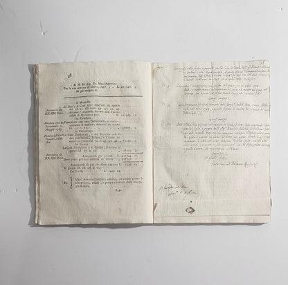 pagina manoscritta inserita nel testo  io libro carmine