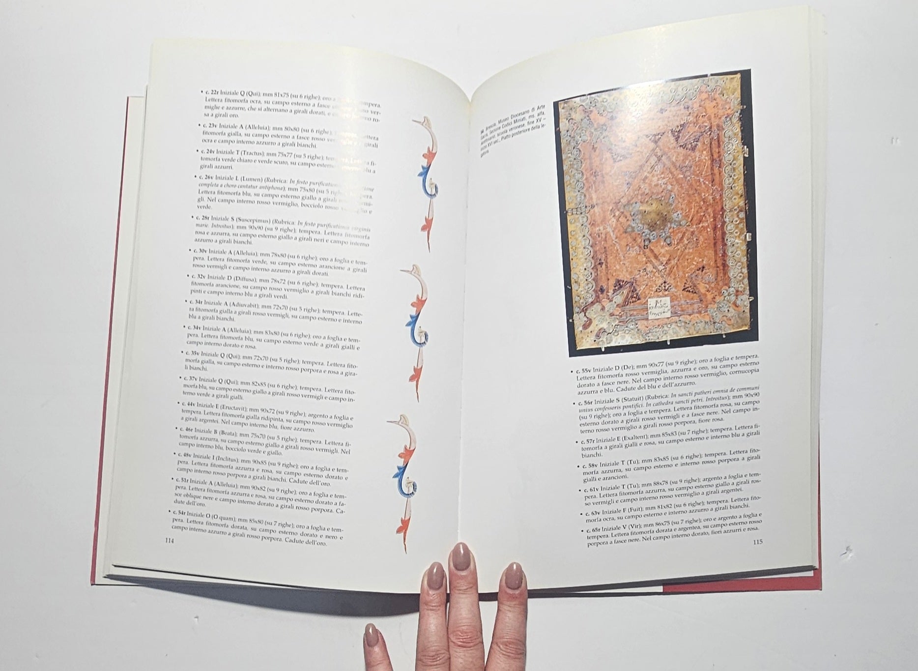 illustrazioni di codici miniati e miniature medievali