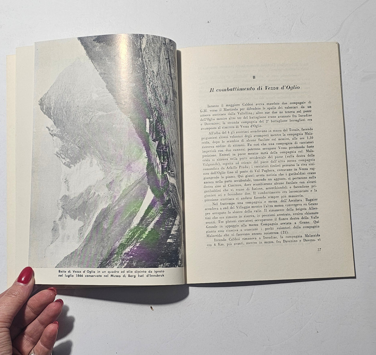 Pagine interne illustrate sulla guerra del 1866 in Valle Camonica iolibrocarmine