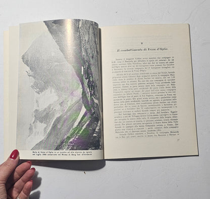 Pagine interne illustrate sulla guerra del 1866 in Valle Camonica iolibrocarmine