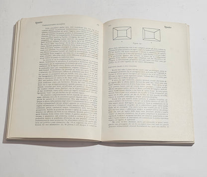 Arte e percezione visiva Rudolf Arnheim libro teoria arte gestalt interno