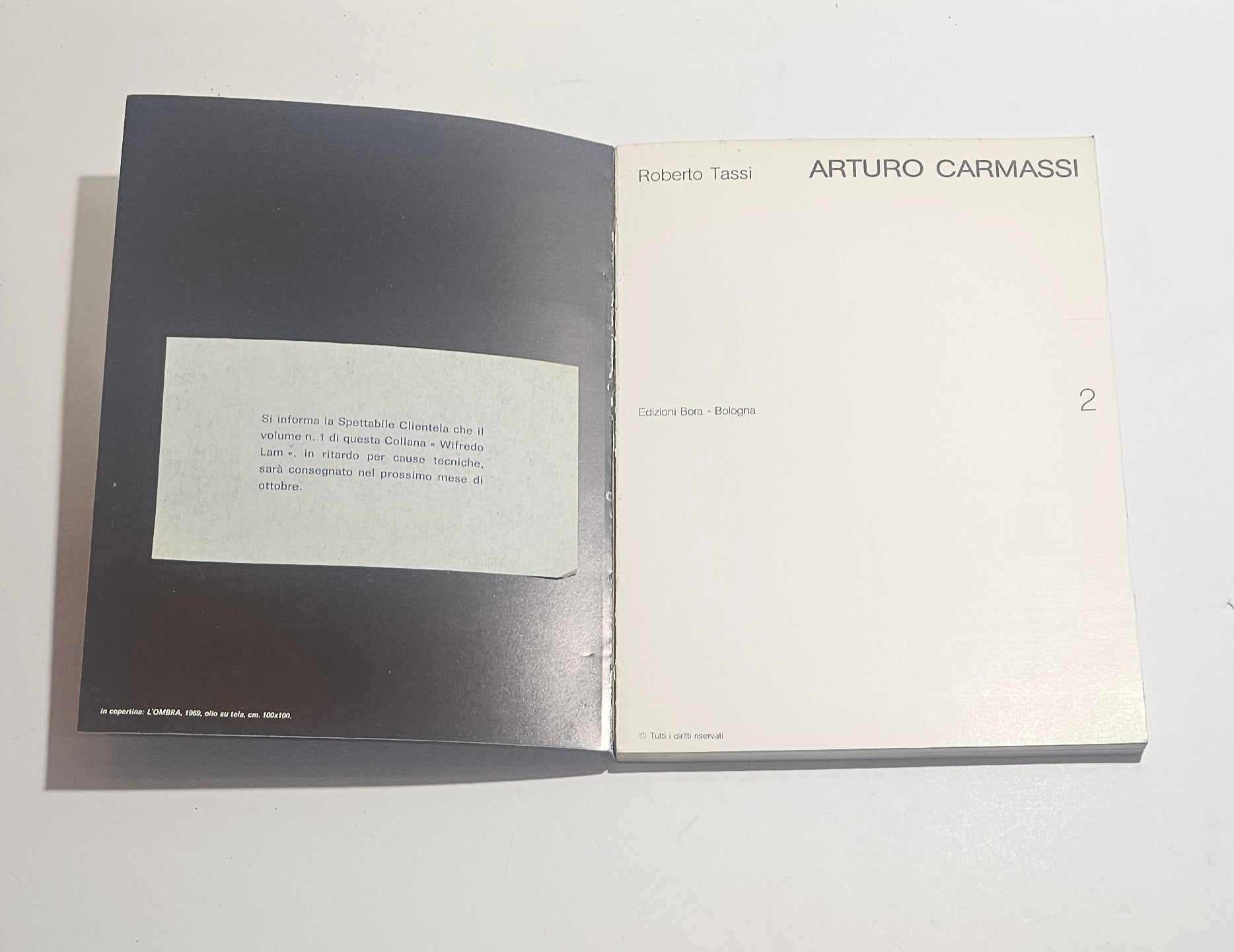 Libro arte Edizioni Bora collana terzoocchio 