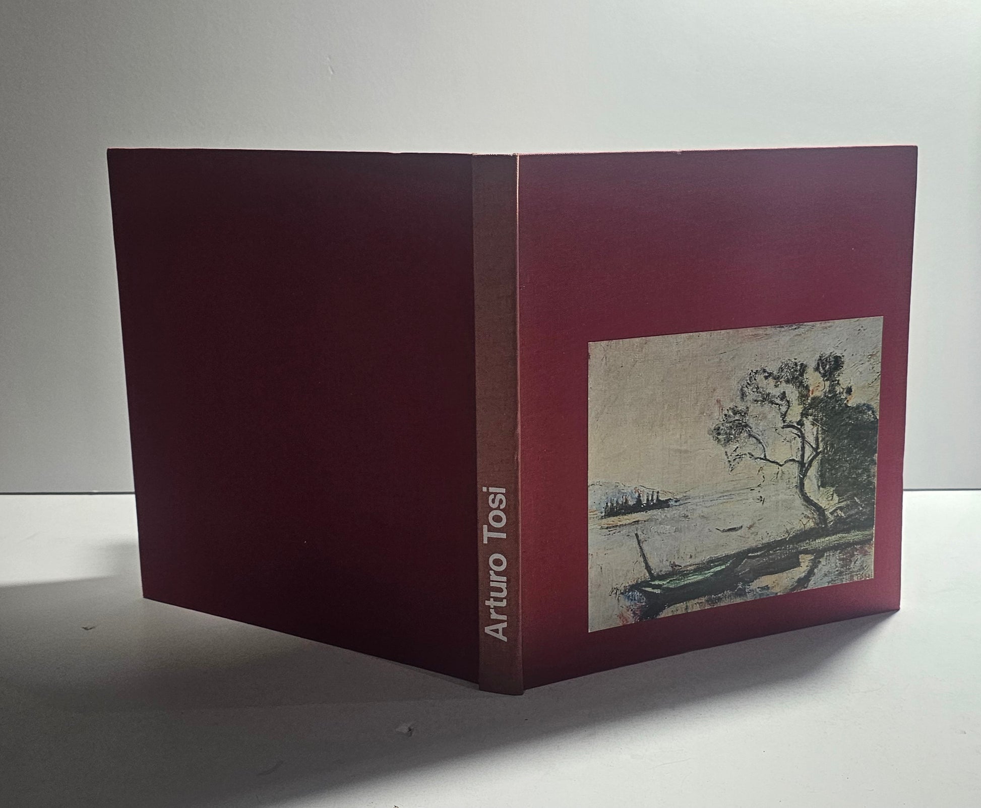 Libro arte italiana Novecento Arturo Tosi