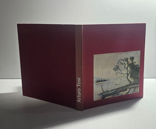 Libro arte italiana Novecento Arturo Tosi