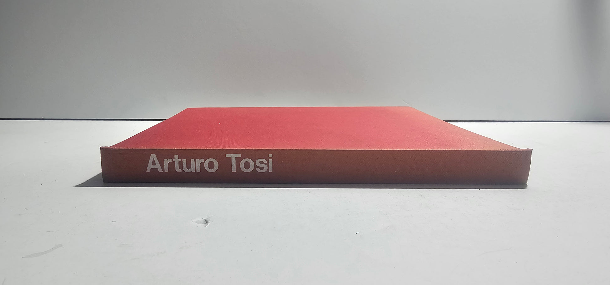 Dorso libro Arturo Tosi catalogo arte
