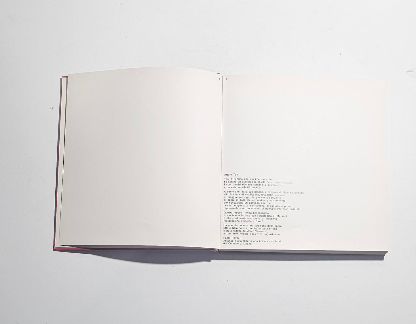 Interno catalogo Arturo Tosi testo introduttivo
