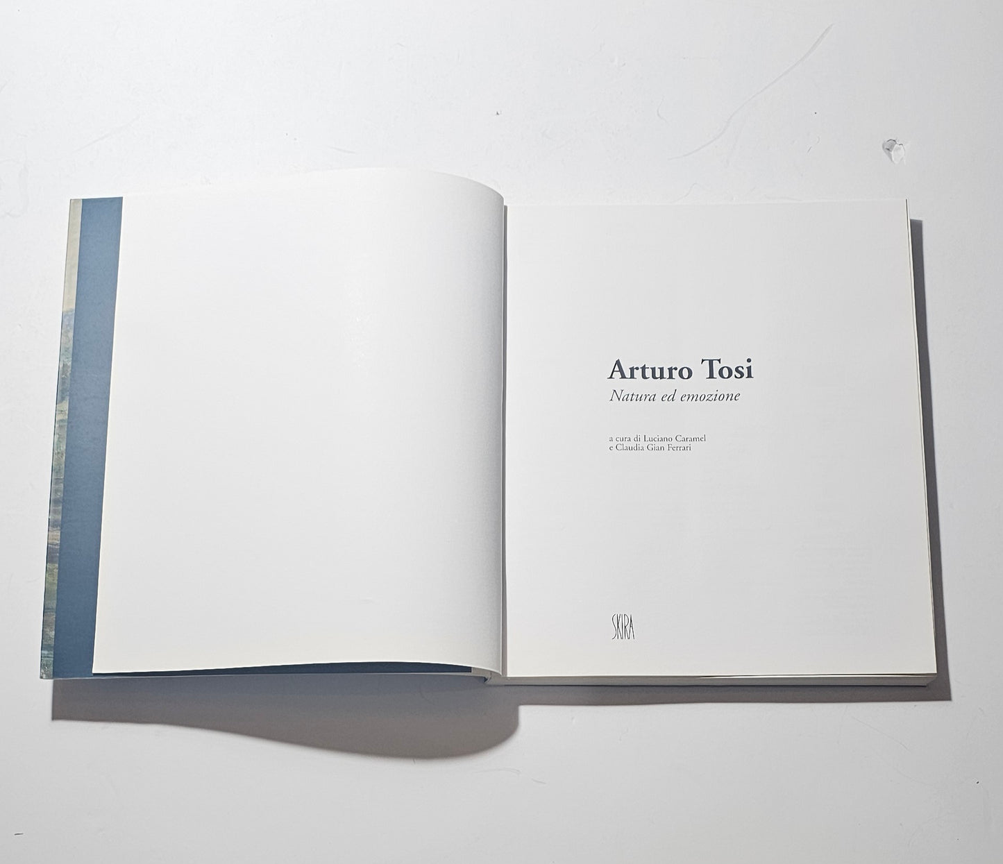 Frontespizio Arturo Tosi catalogo illustrato arte italiana iolibrocarmine