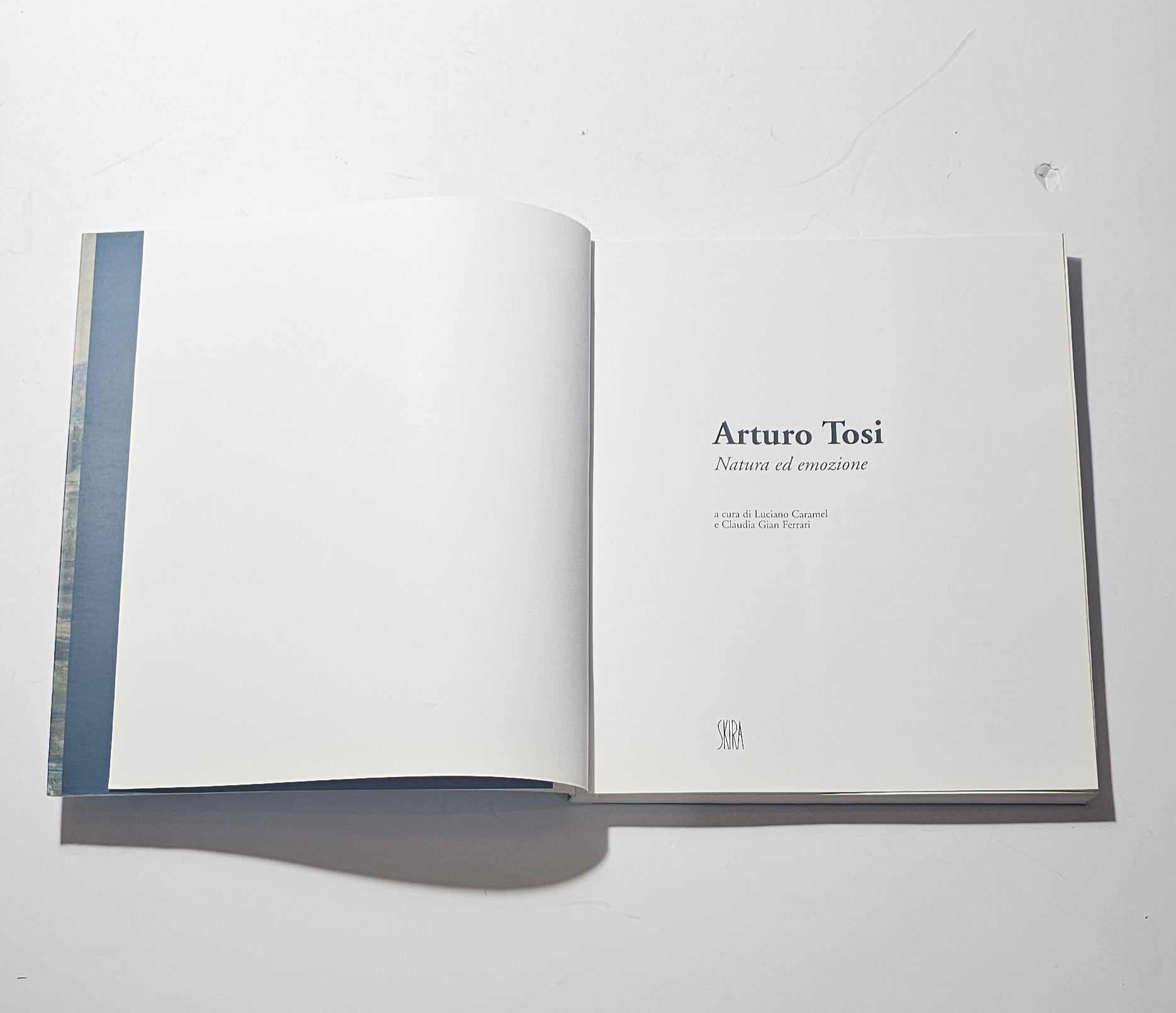 Frontespizio Arturo Tosi catalogo illustrato arte italiana iolibrocarmine