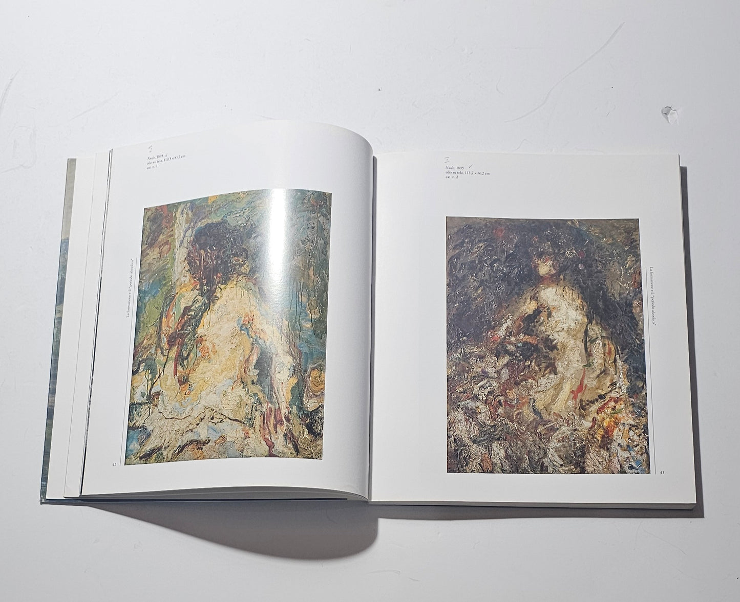 Dipinti di Arturo Tosi catalogo Skira arte moderna iolibrocarmine