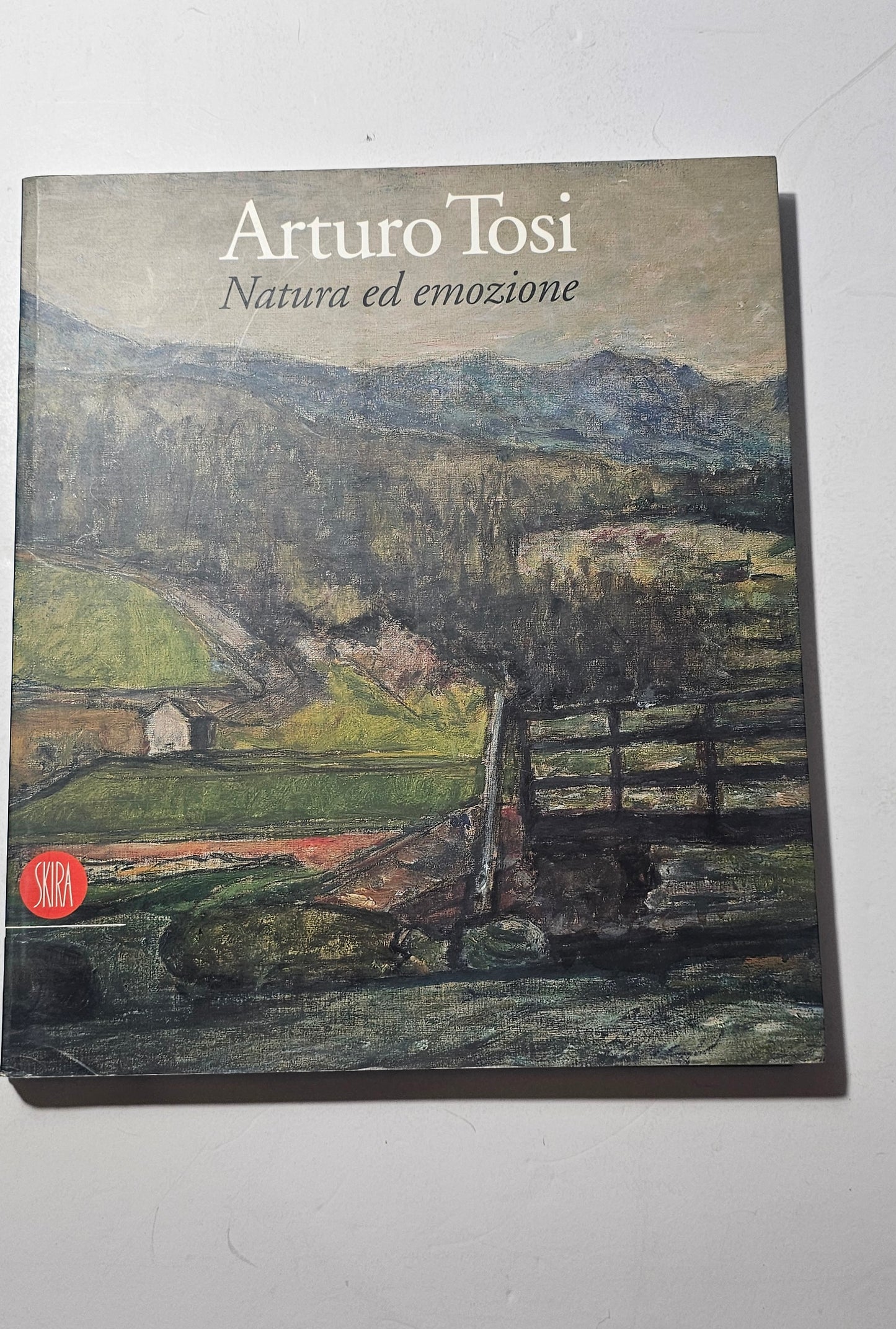 Arturo Tosi Natura ed emozione catalogo Skira iolibrocarmine