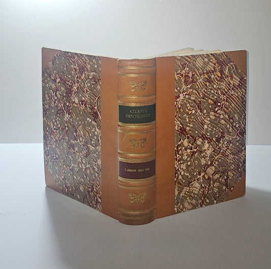 iolibrocarmine legatura atlante ornitologico Arrigoni Degli Oddi Hoepli 1902