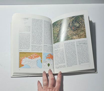 pagina interna atlante degli uccelli delle alpi italiane mappe e fotografie iolibrocarmine