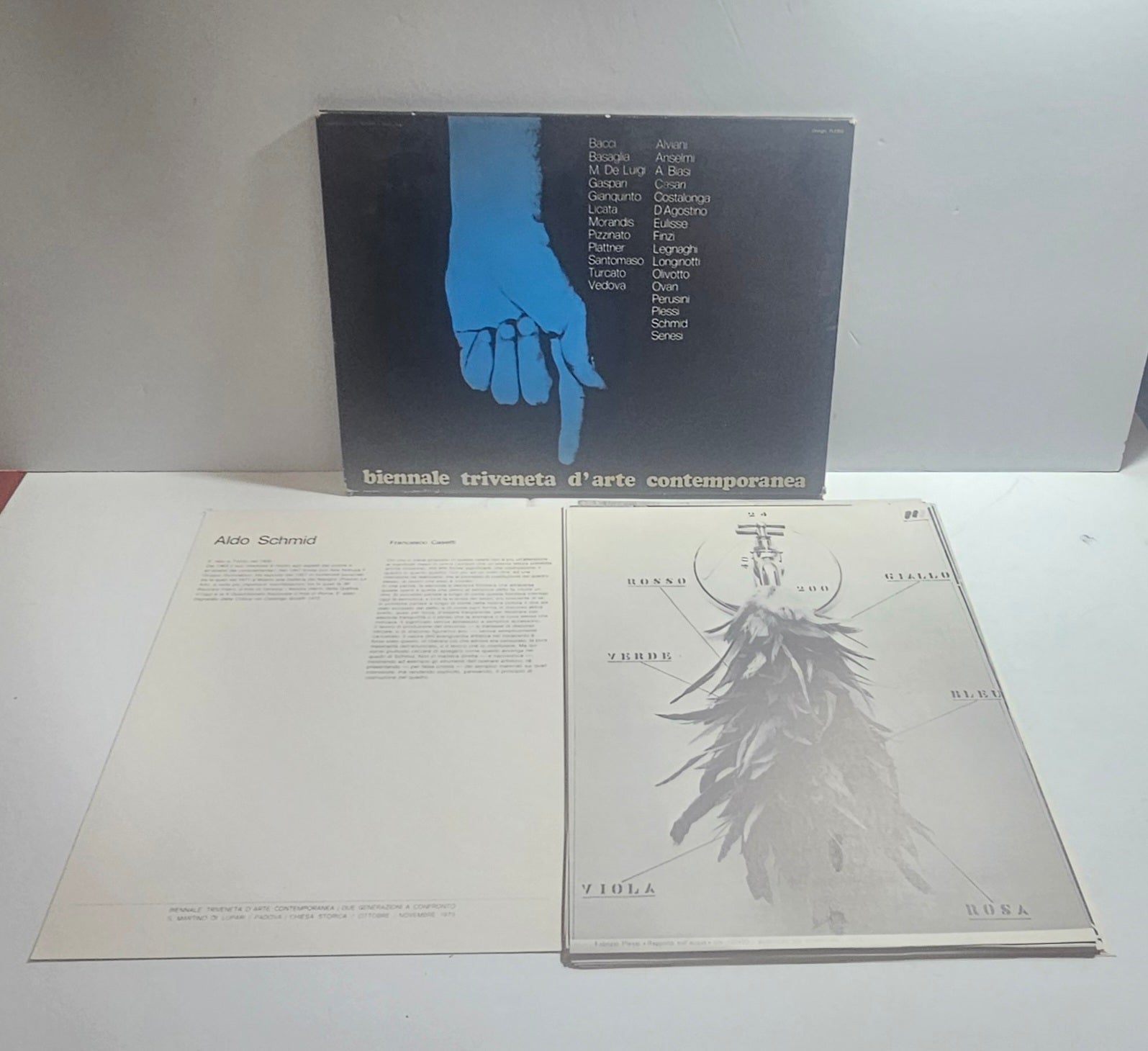 Catalogo Biennale Triveneta Arte Contemporanea Padova 1973 con opere e schede critiche – iolibrocarmine