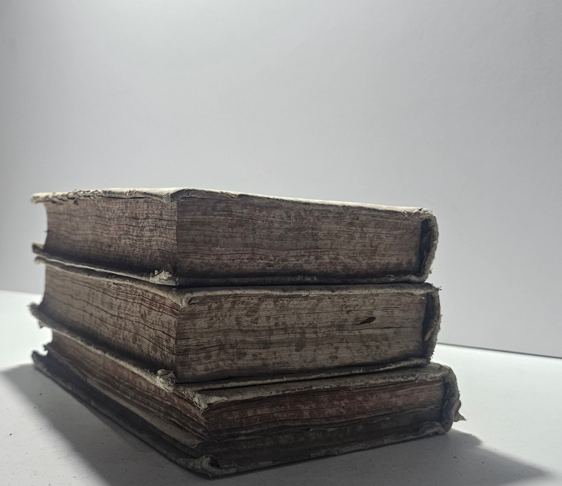 Tagli marmorizzati  dei volumi napoleonici 1807 io libro carmine