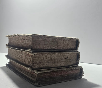 Tagli marmorizzati  dei volumi napoleonici 1807 io libro carmine