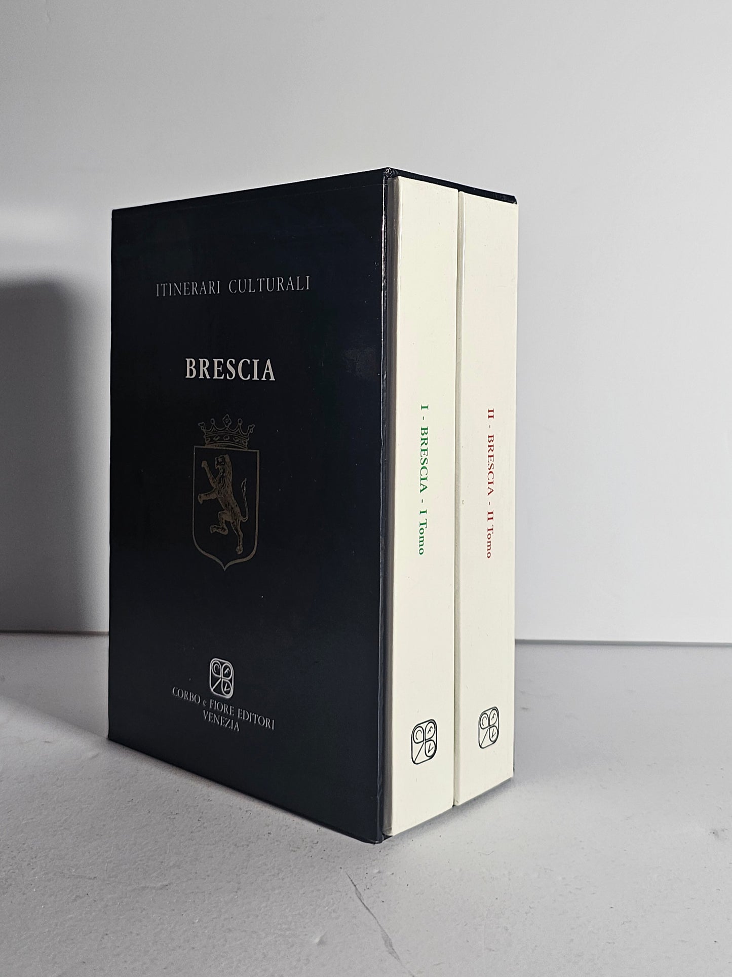 Dettaglio volumi Brescia io libro carmine