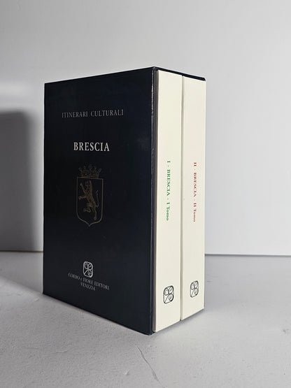 Dettaglio volumi Brescia io libro carmine