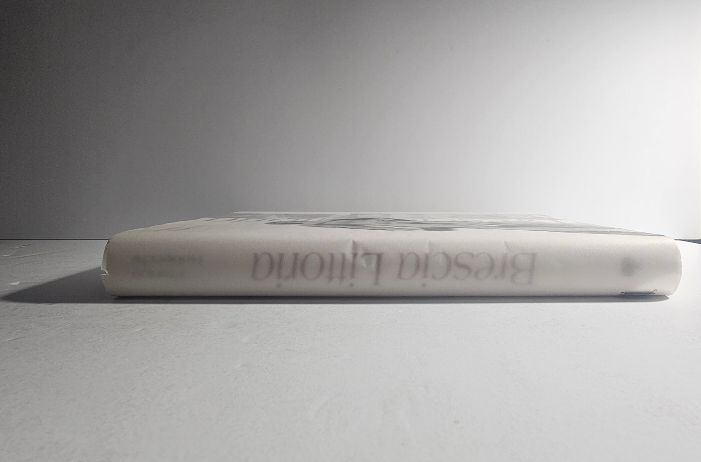 iolibrocarmine dorso volume Brescia Littoria
