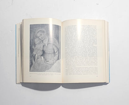 Volume illustrato dedicato alla storia artistica della città di Brescia – iolibrocarmine
