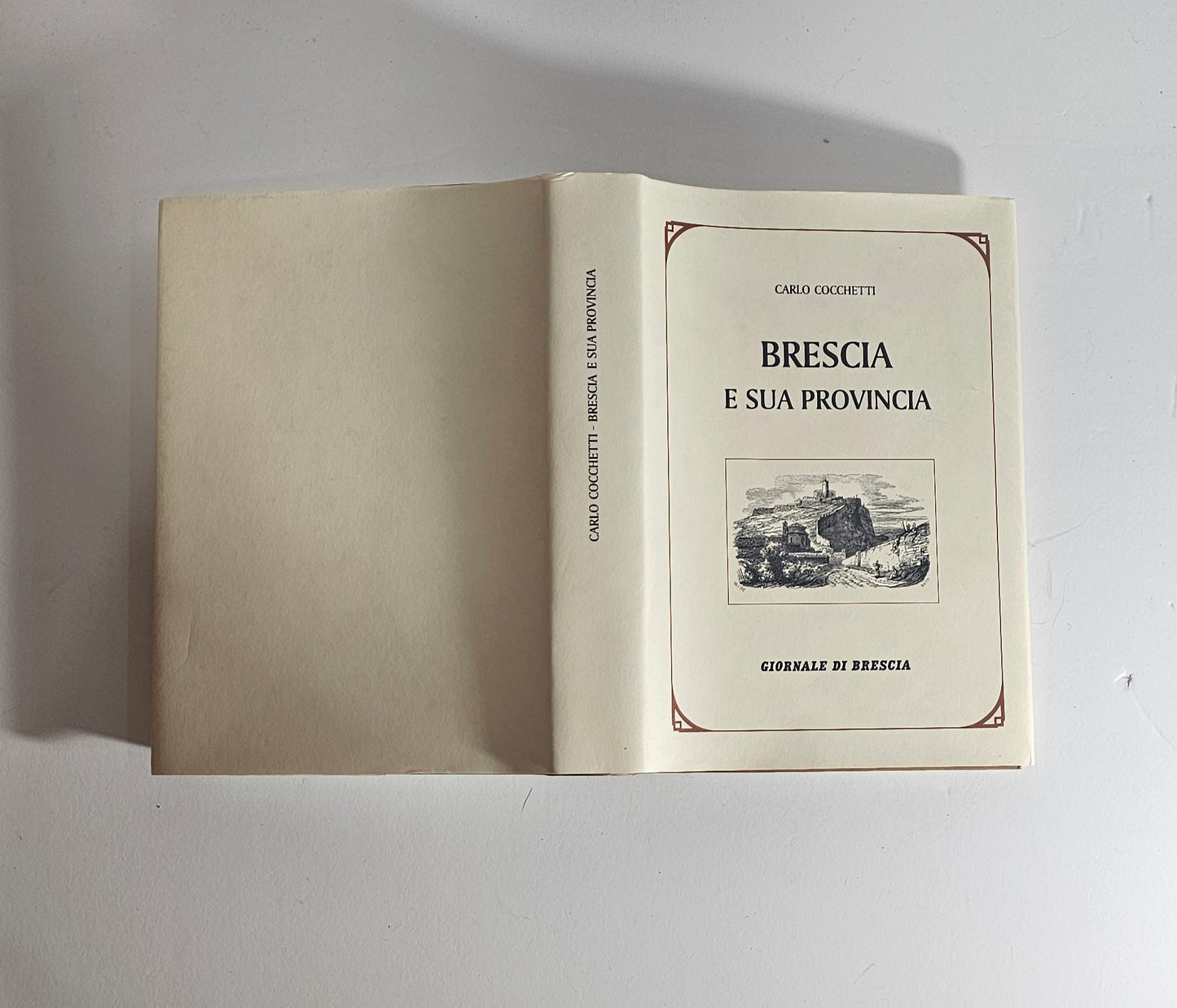 Libro Brescia e sua provincia Cocchetti ristampa anastatica io libro carmine
