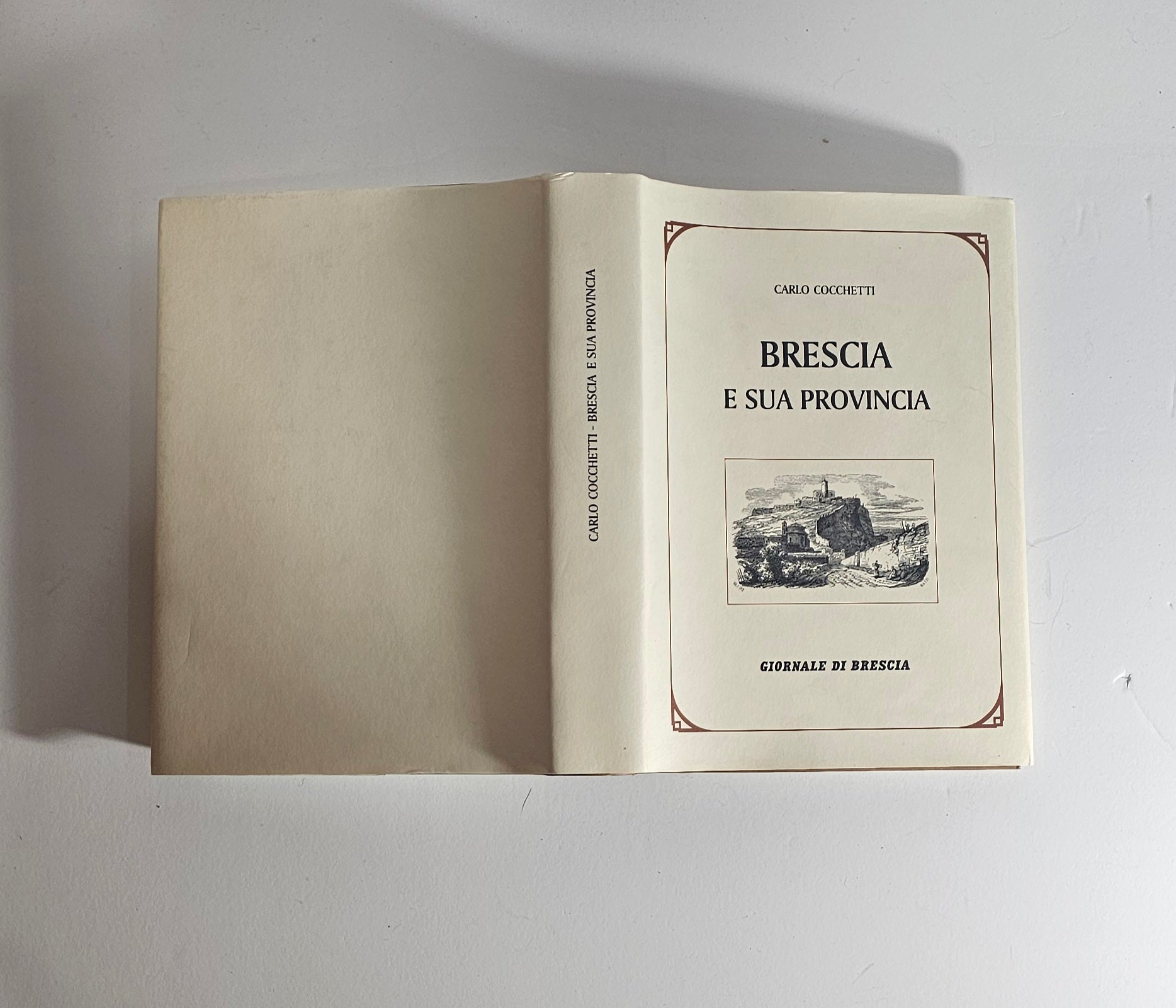 Libro Brescia e sua provincia Cocchetti ristampa anastatica io libro carmine
