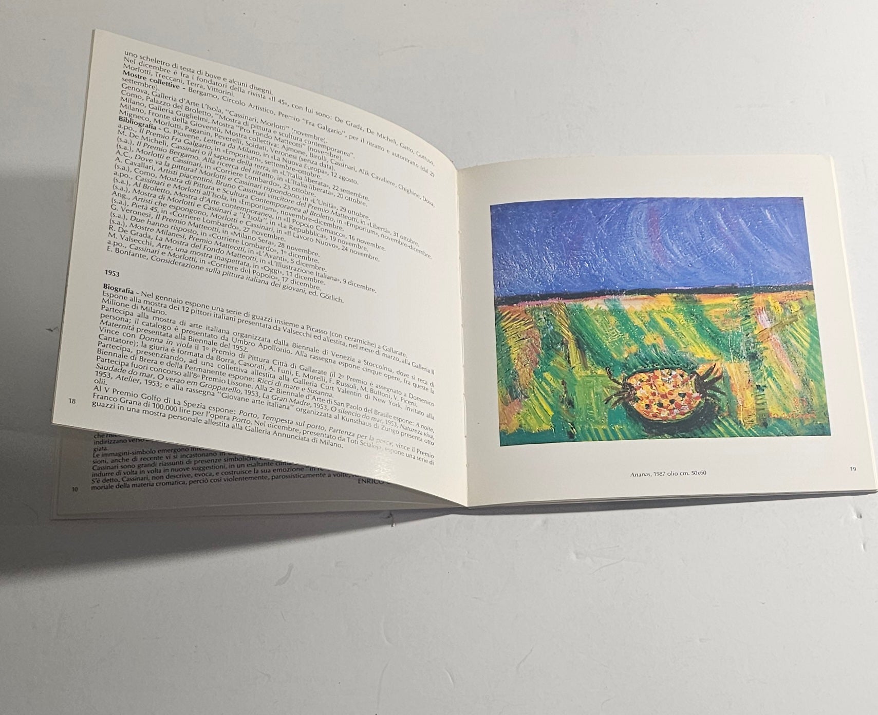 Libro arte italiana Cassinari interno
