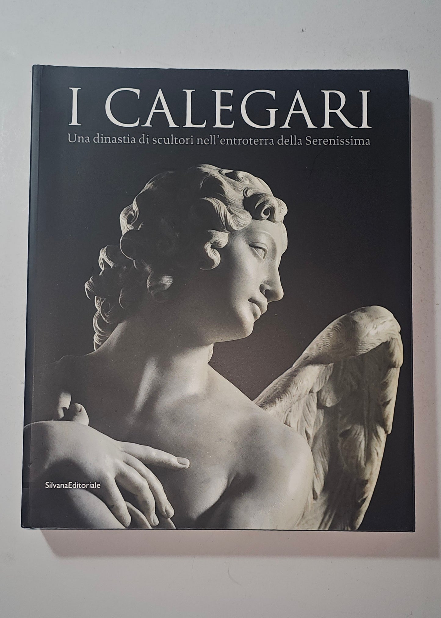 Copertina del volume I Calegari una dinastia di scultori nell entroterra della Serenissima iolibrocarmine