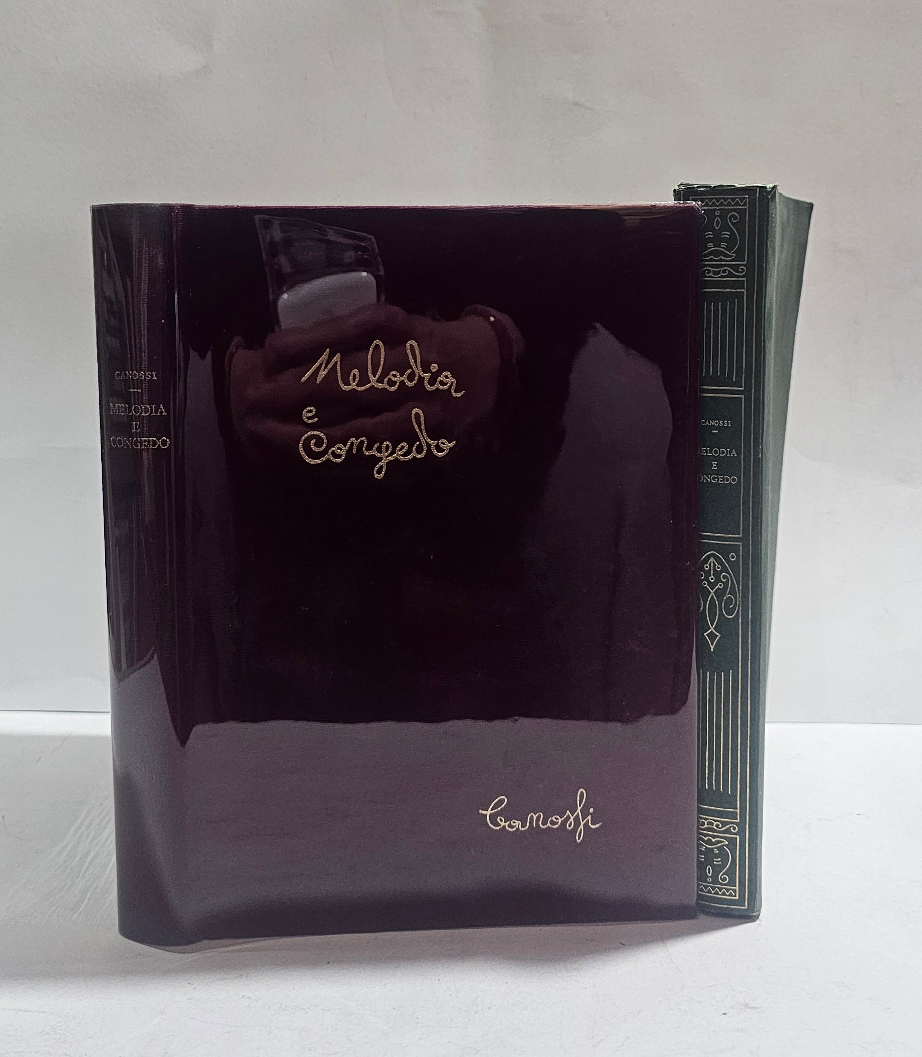 Melodia e Congedo di Angelo Canossi copertina del libro