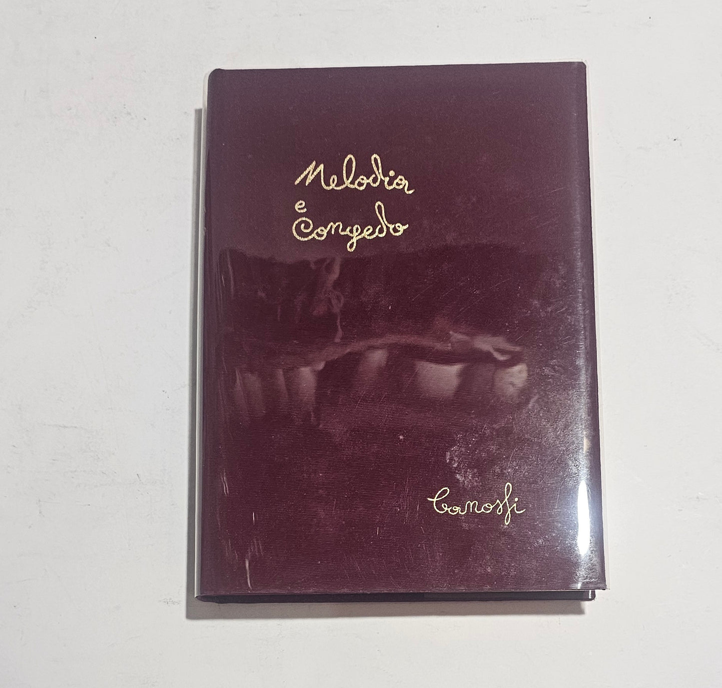 Melodia e Congedo di Angelo Canossi copertina del libro piatto anteriore