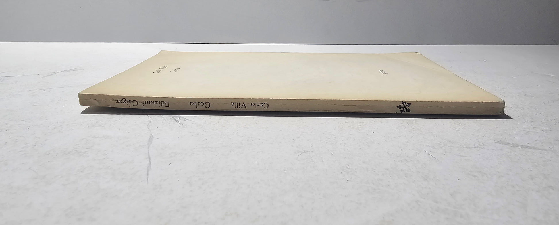 Dorso Carlo Villa Gorba Geiger prima edizione iolibrocarmine collana abcdefghijklmnopqrstuvwxyz