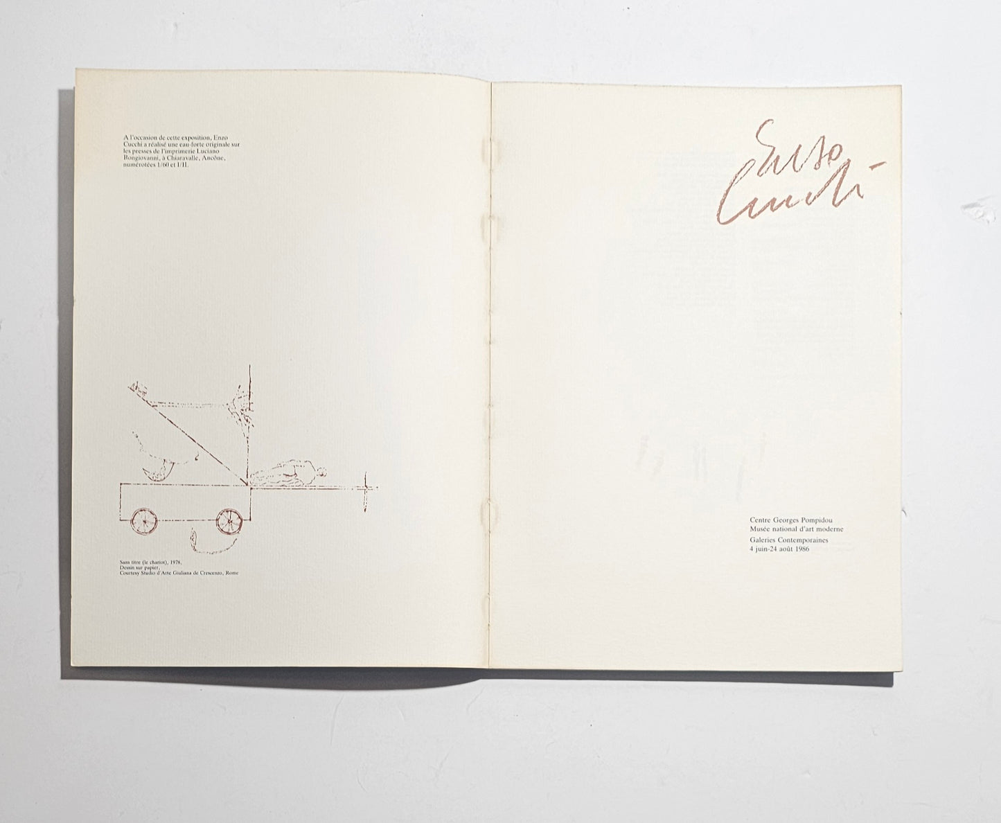 Libro arte contemporanea italiana Cucchi

