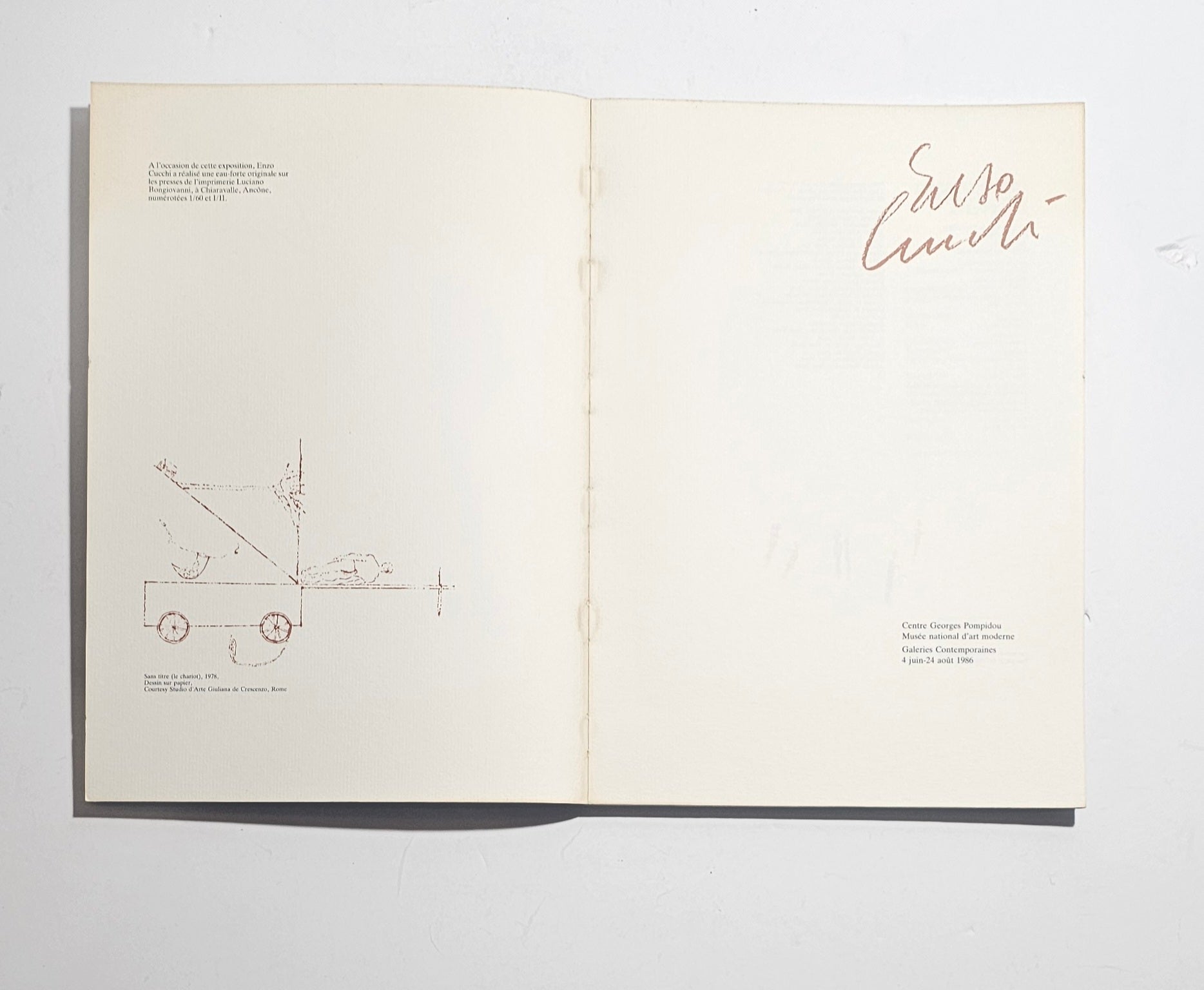 Libro arte contemporanea italiana Cucchi
