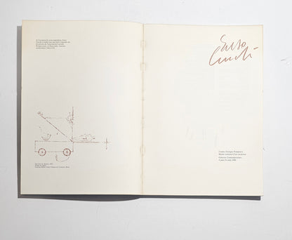 Libro arte contemporanea italiana Cucchi
