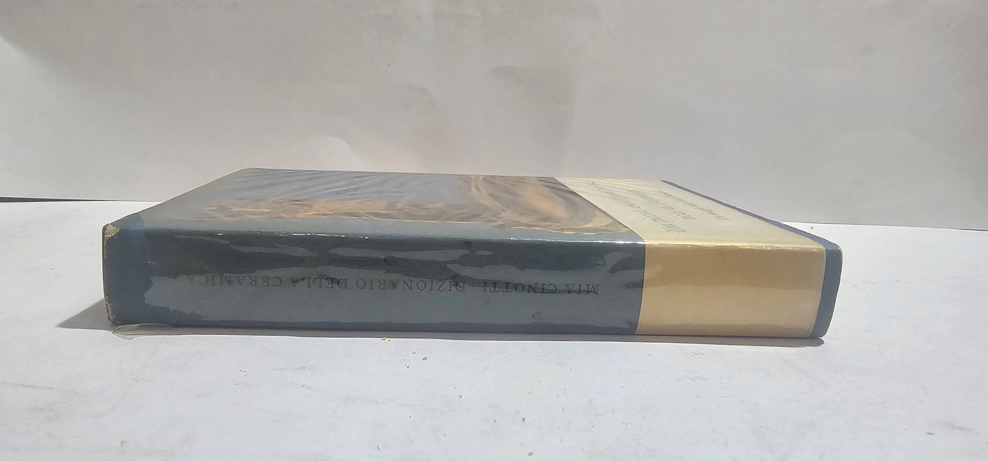 Dorso libro Dizionario della ceramica Mia Cinotti