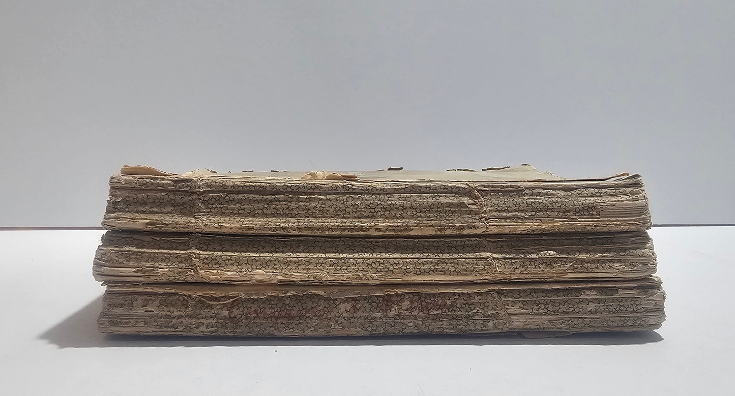 Dettaglio usura dorso libro ottocento