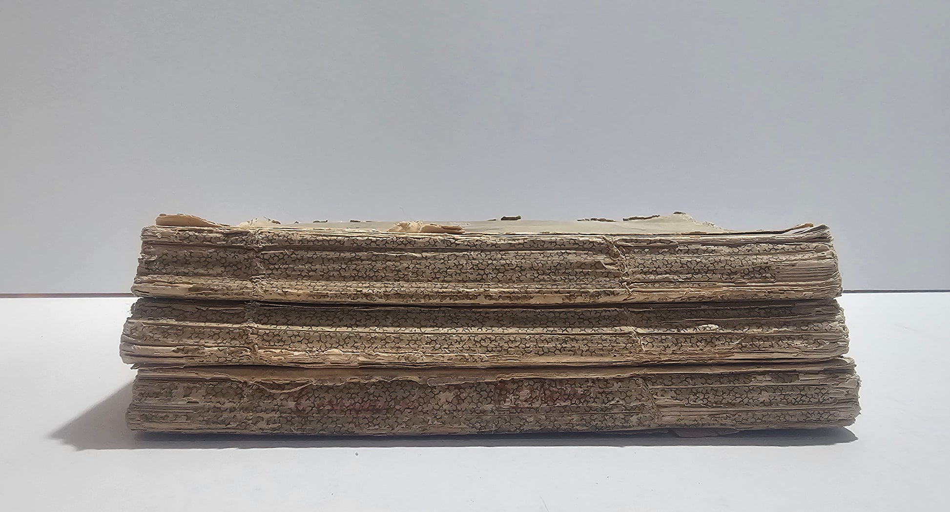 Dettaglio usura dorso libro ottocento