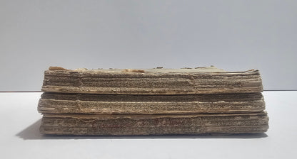 Dettaglio usura dorso libro ottocento
