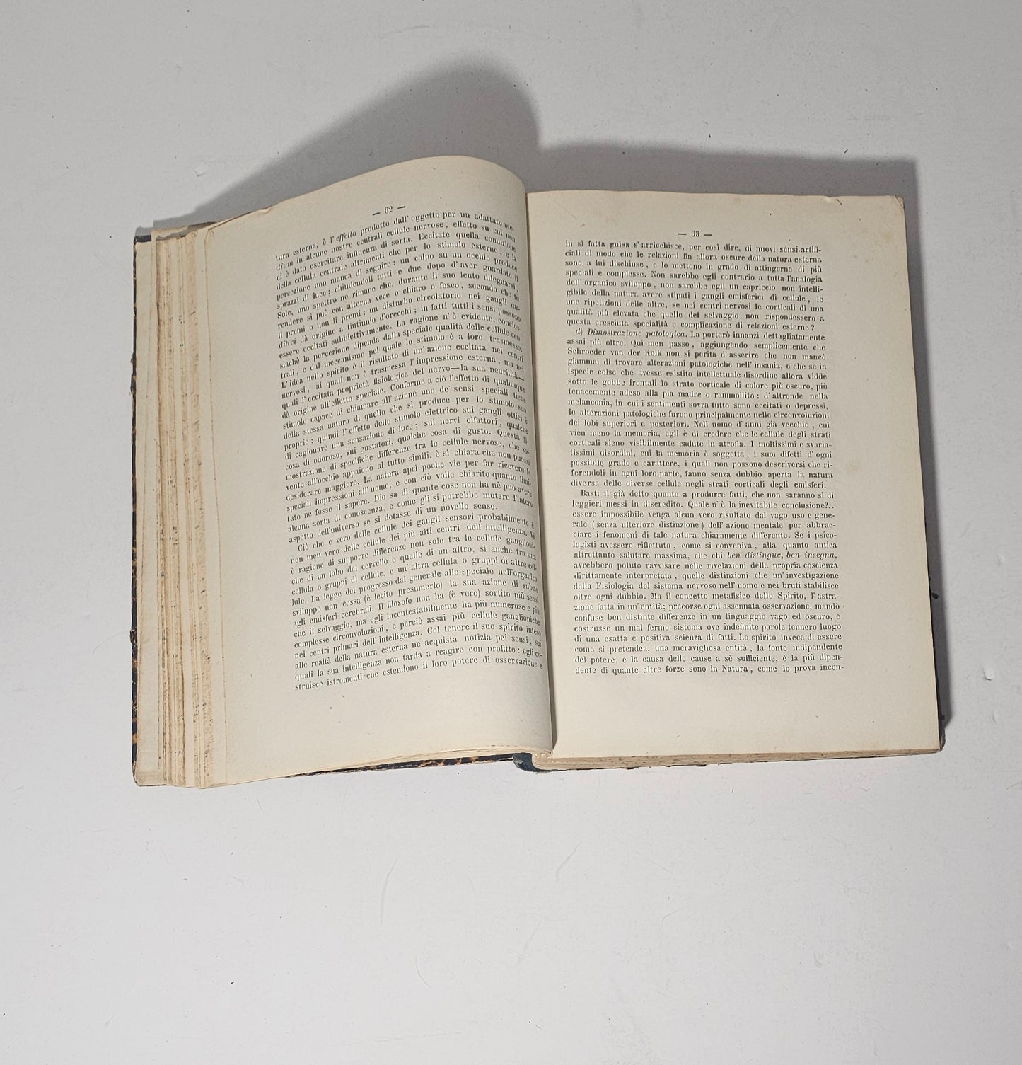 Interno libro antico testo
