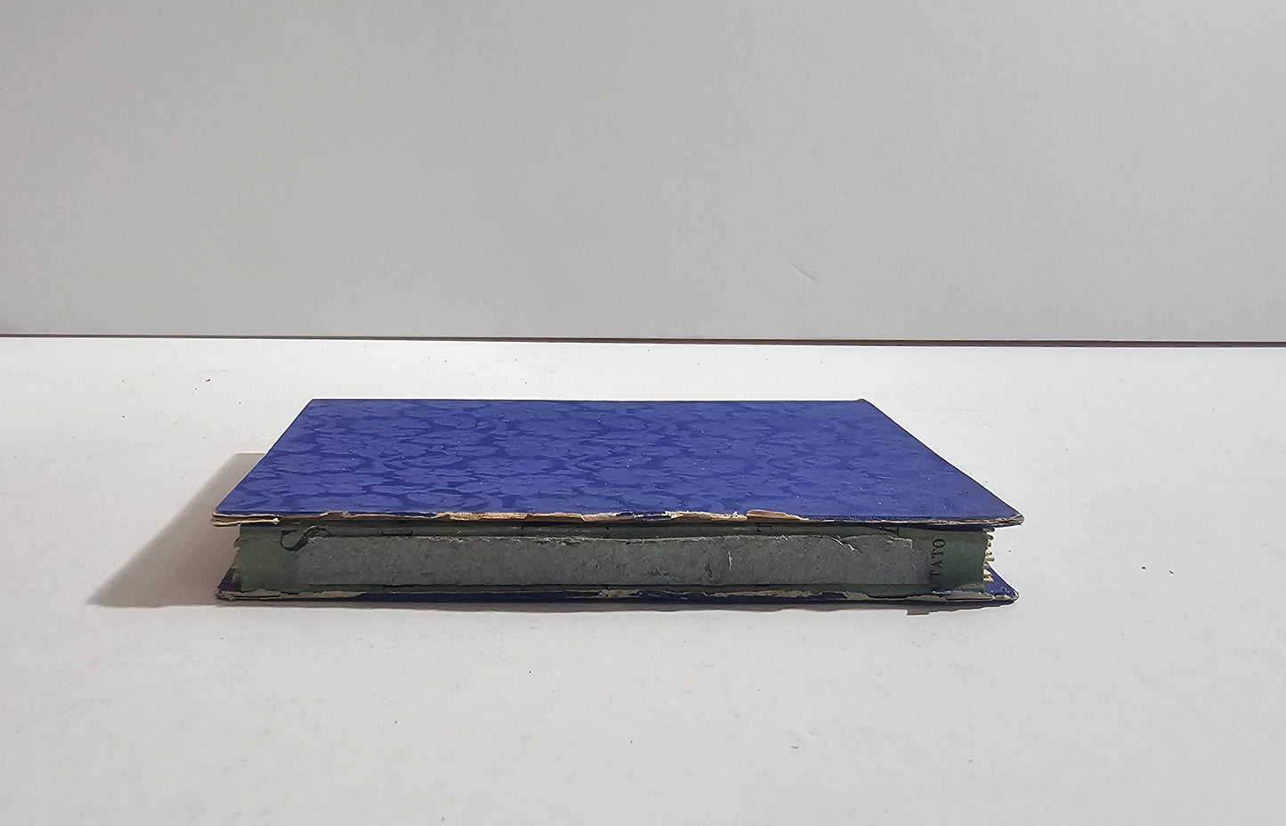 copertina libro dorso antico decorazione blu