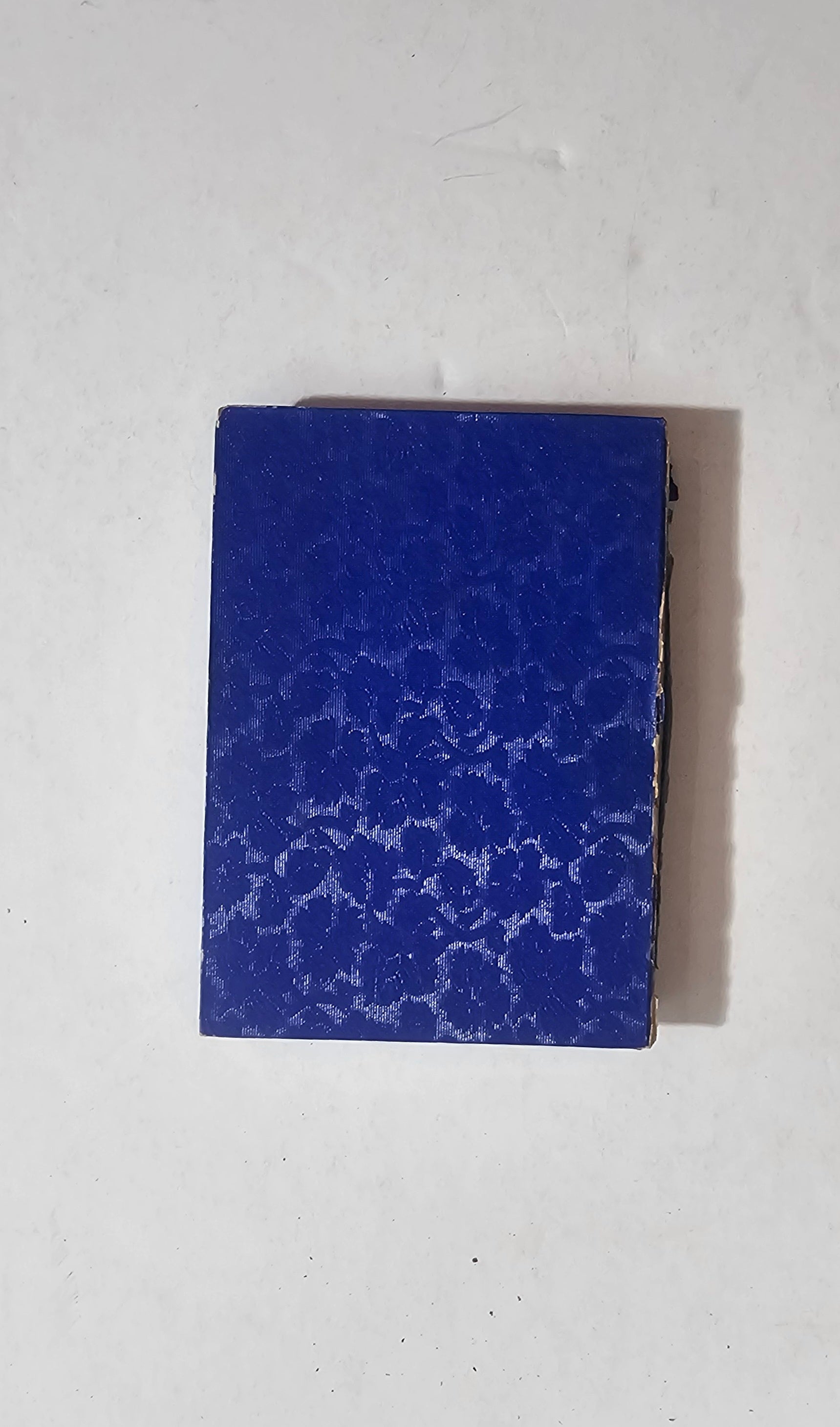 copertina libro antico decorazione blu